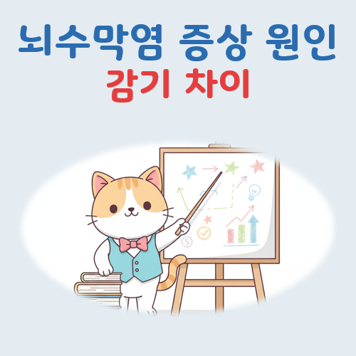 뇌수막염 증상 원인 대표 이미지