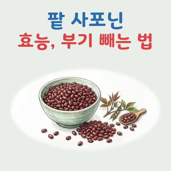 팥 사포닌 효능, 부기 빼는 한 그릇 대표 이미지